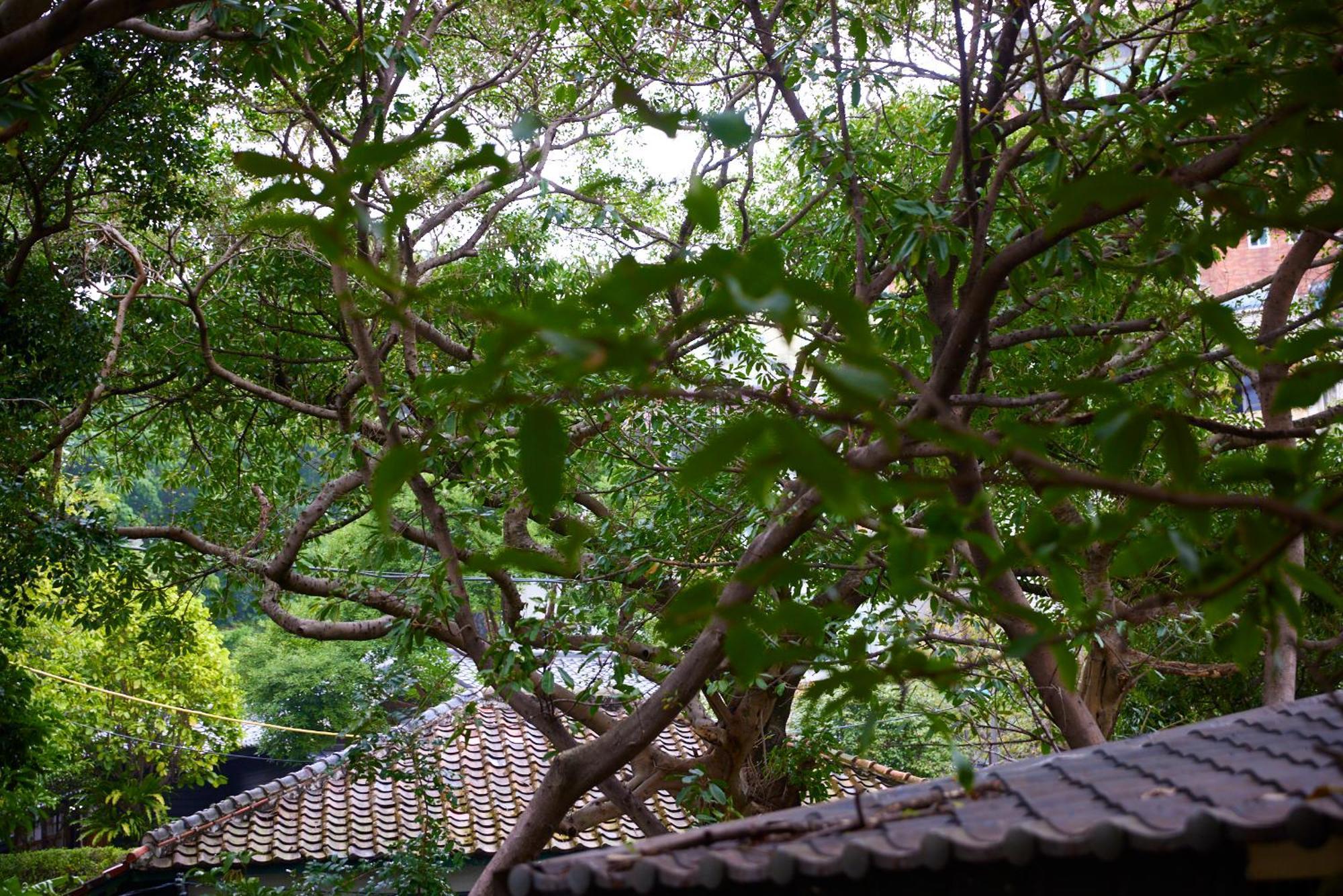Kyokusui Hotspring Hotel Тайбей Екстер'єр фото